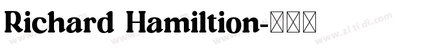 Richard Hamiltion字体转换